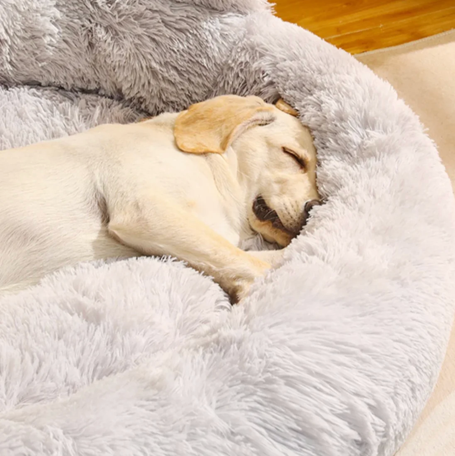 Plush Calming Paw Dog Bed