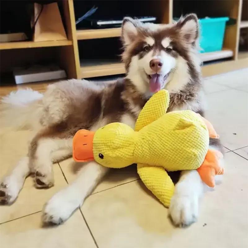 Plush Duck Cuddle Toy for Dogs