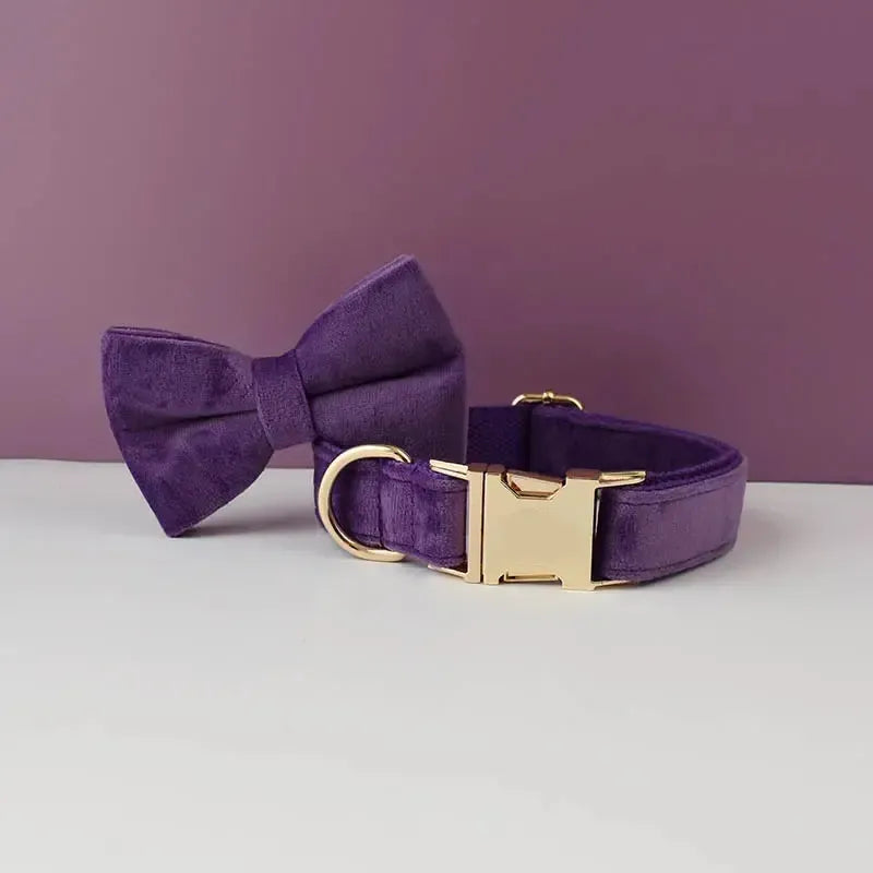 Purple Velvet Dog Collar