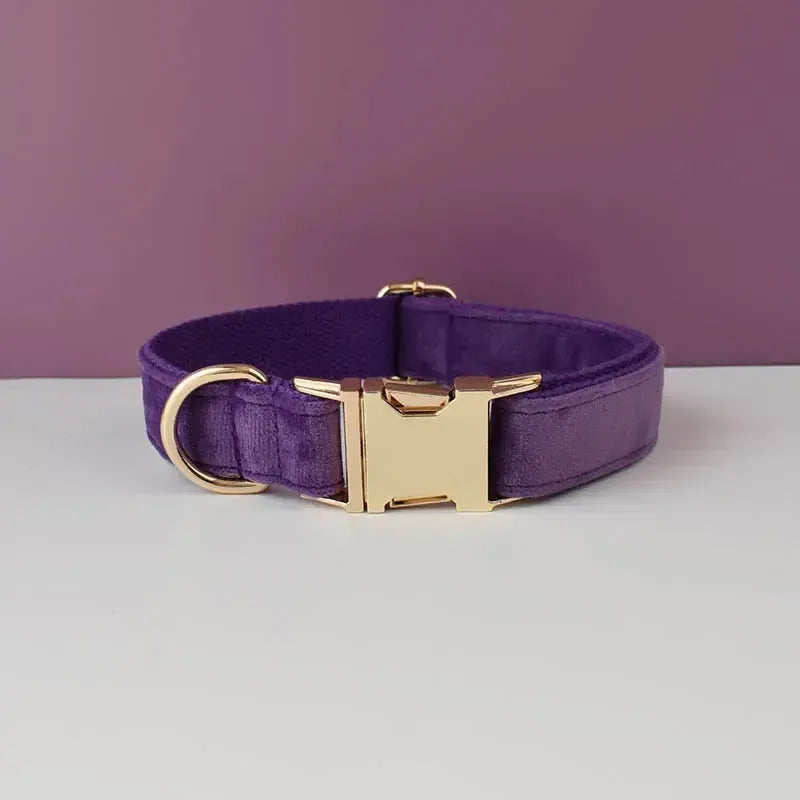 Purple Velvet Dog Collar