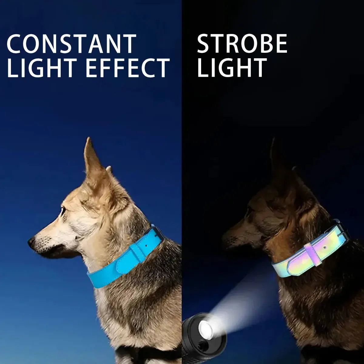 Rainbow Reflective Dog Collar