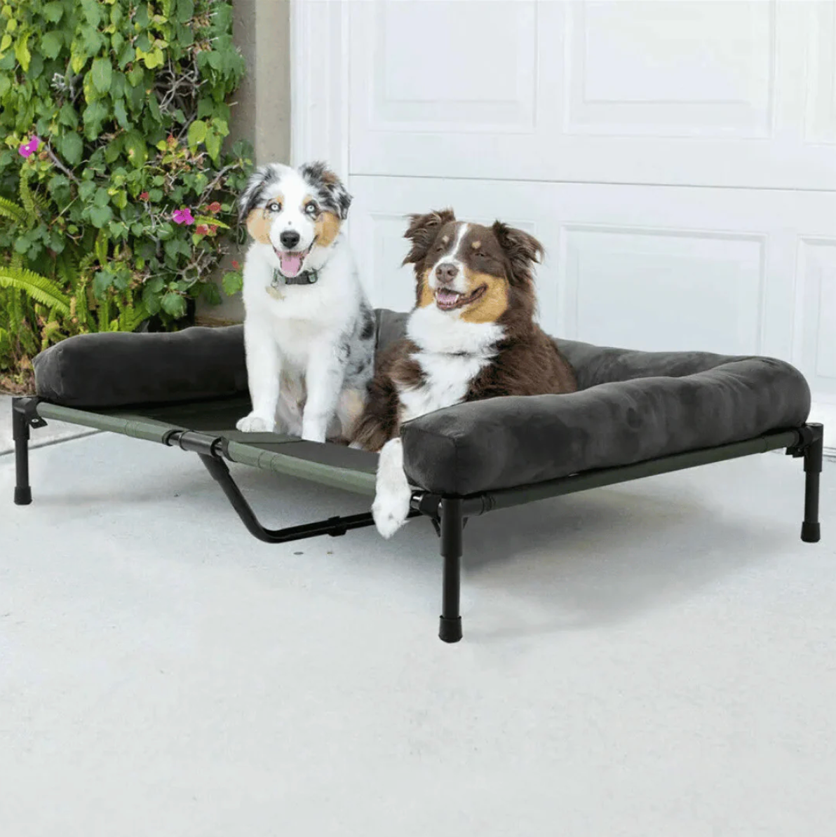 Raised Orthopedic Dog Bed with Cooling Mesh