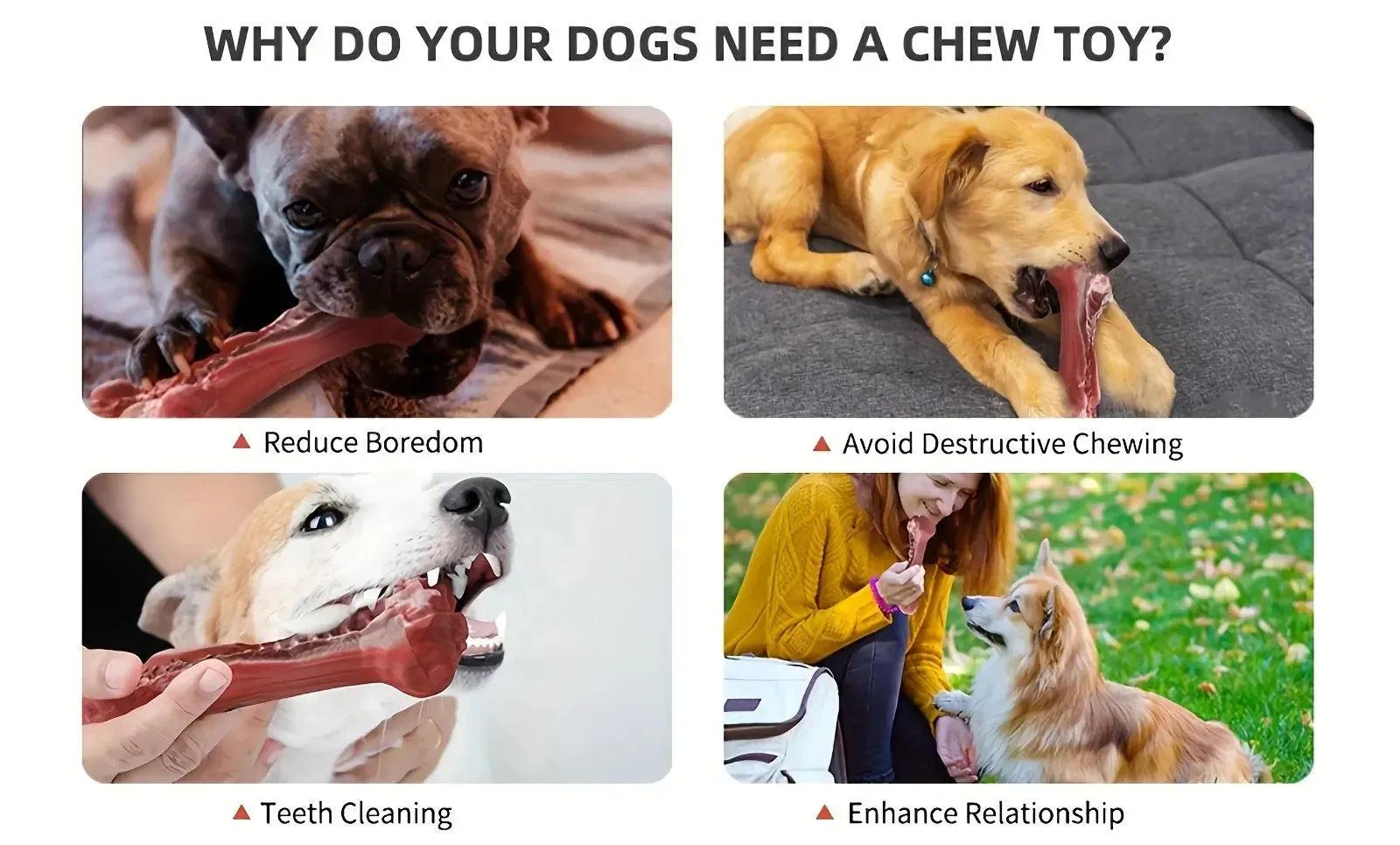 Realistic Bone Chew Toy for Large Dogs and Aggressive Chewers