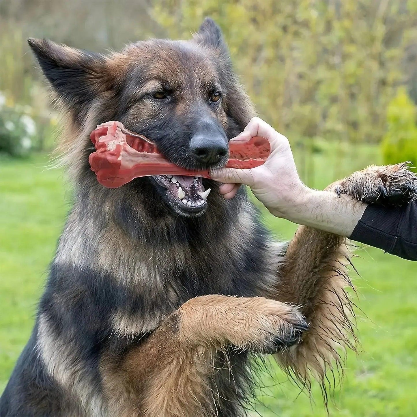 Realistic Bone Chew Toy for Large Dogs and Aggressive Chewers
