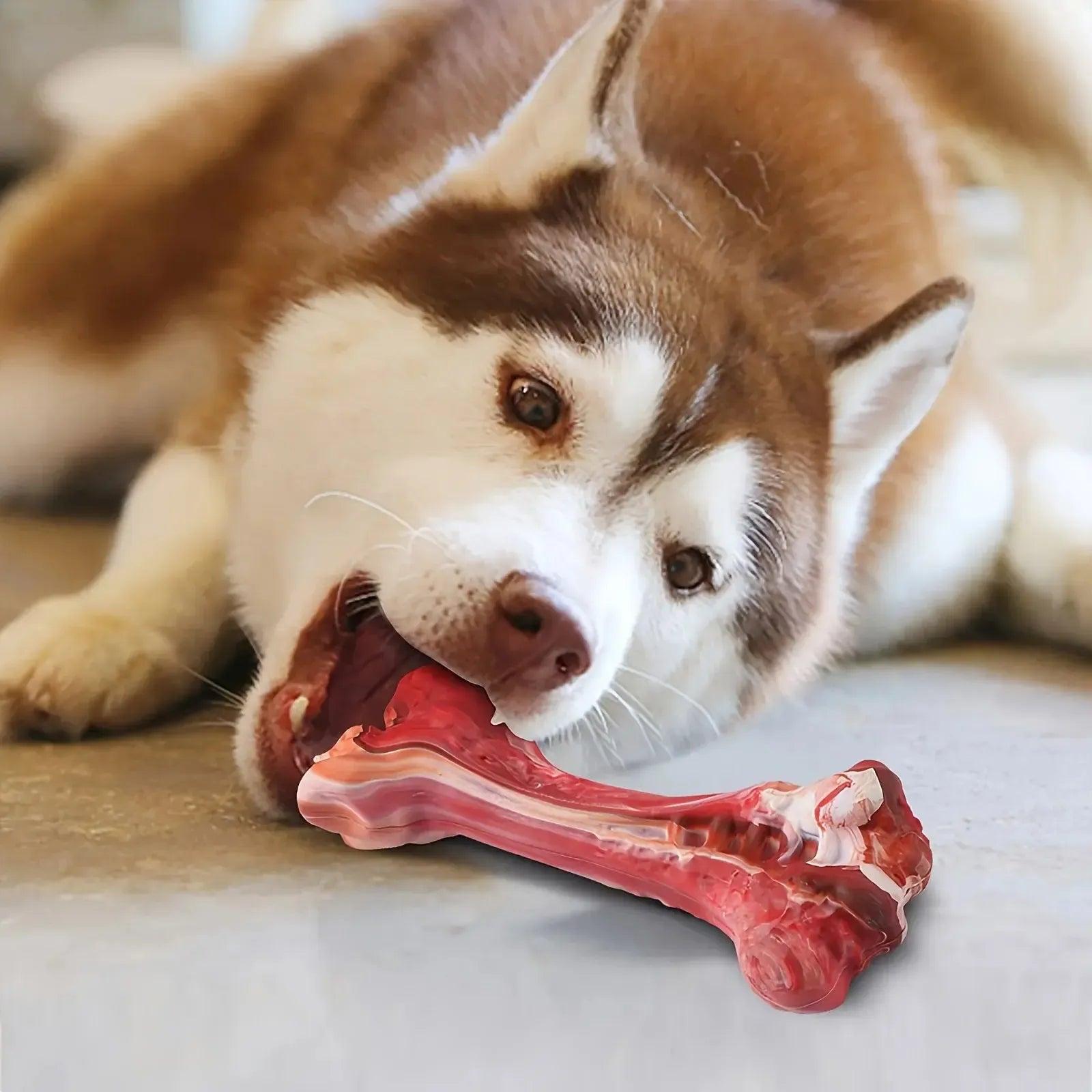 Realistic Bone Chew Toy for Large Dogs and Aggressive Chewers