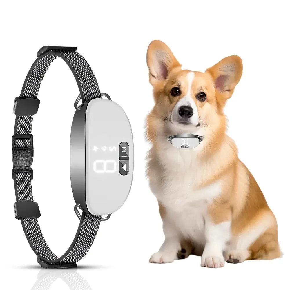 Rechargeable No-Shock Bark Collar with Beep & Vibration Training
