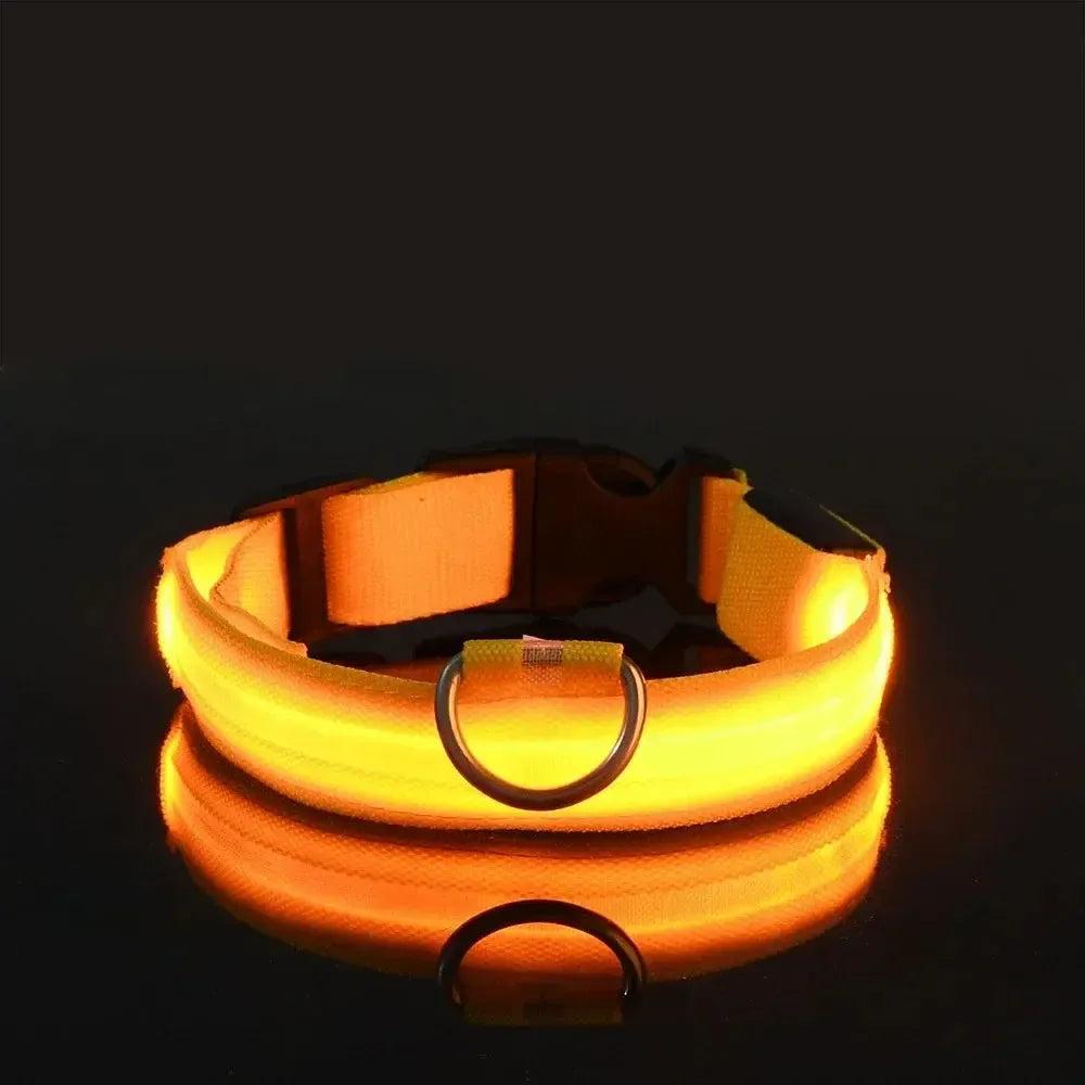 Reflective LED Dog Collar – Waterproof, Adjustable & Bright