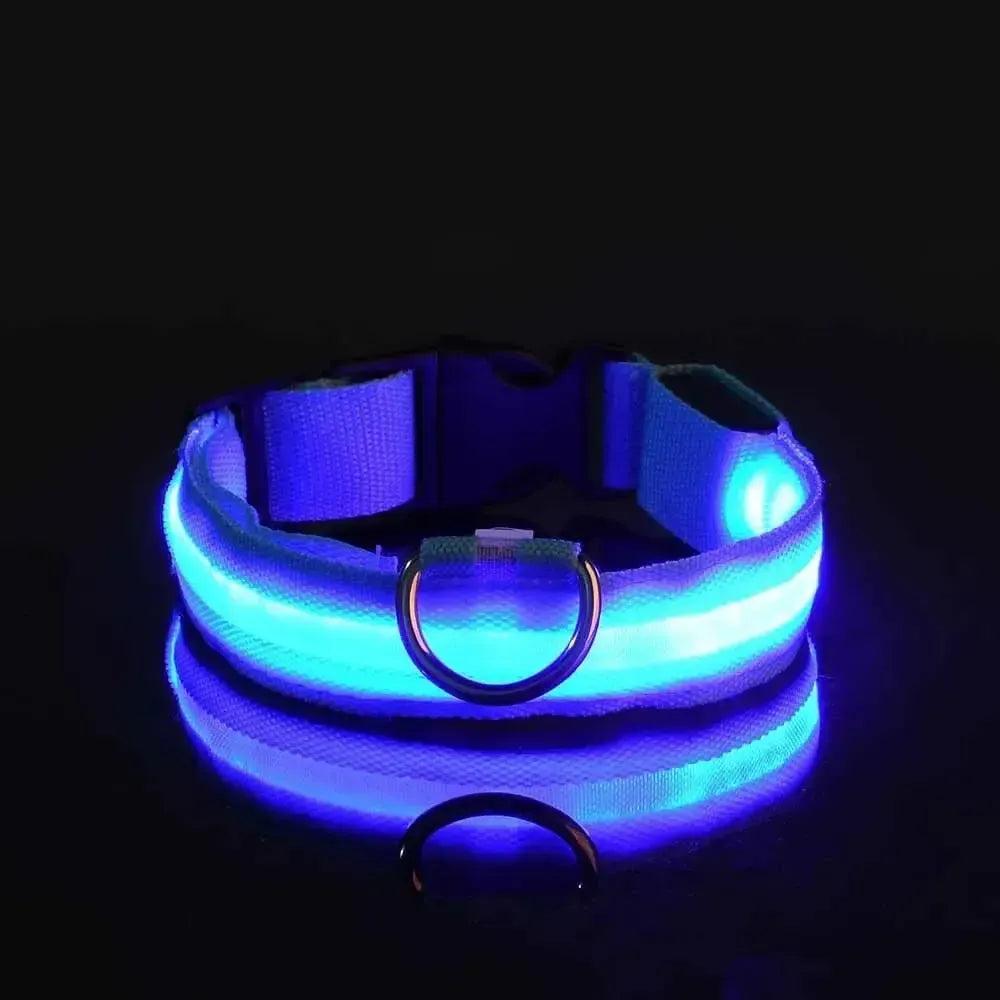 Reflective LED Dog Collar – Waterproof, Adjustable & Bright