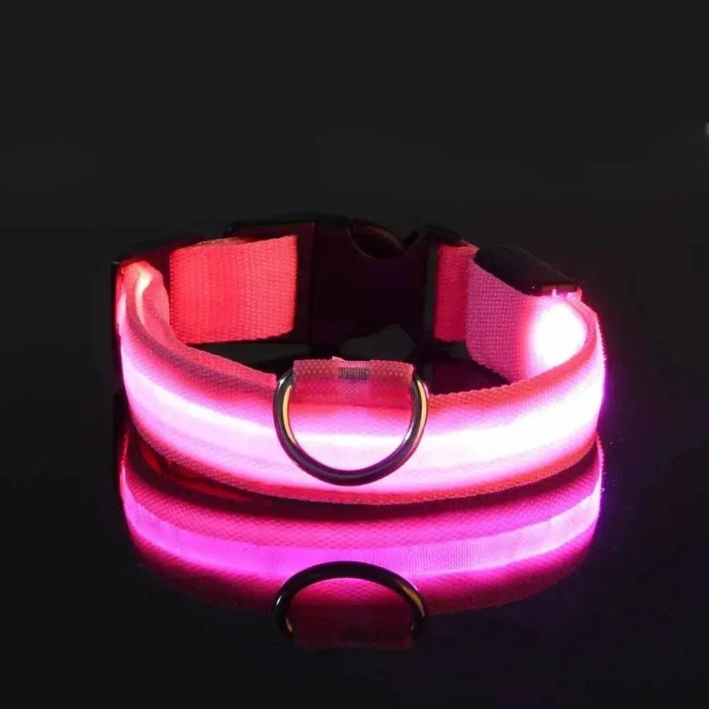 Reflective LED Dog Collar – Waterproof, Adjustable & Bright