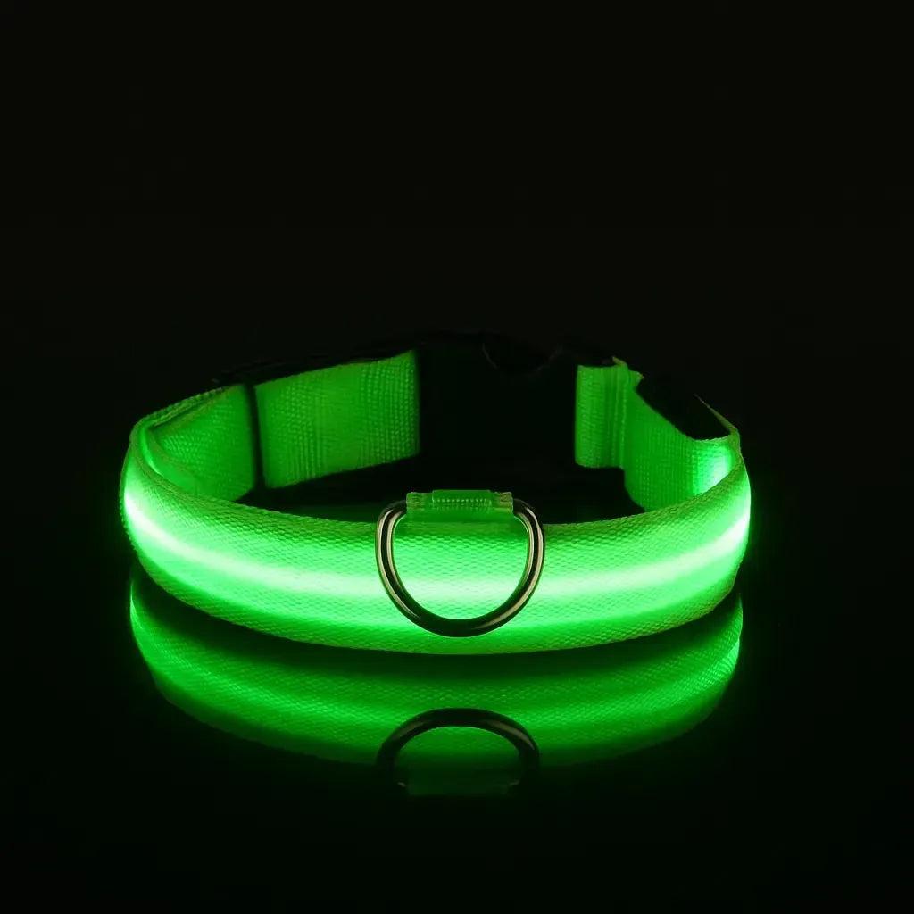 Reflective LED Dog Collar – Waterproof, Adjustable & Bright