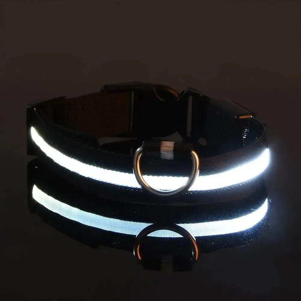 Reflective LED Dog Collar – Waterproof, Adjustable & Bright