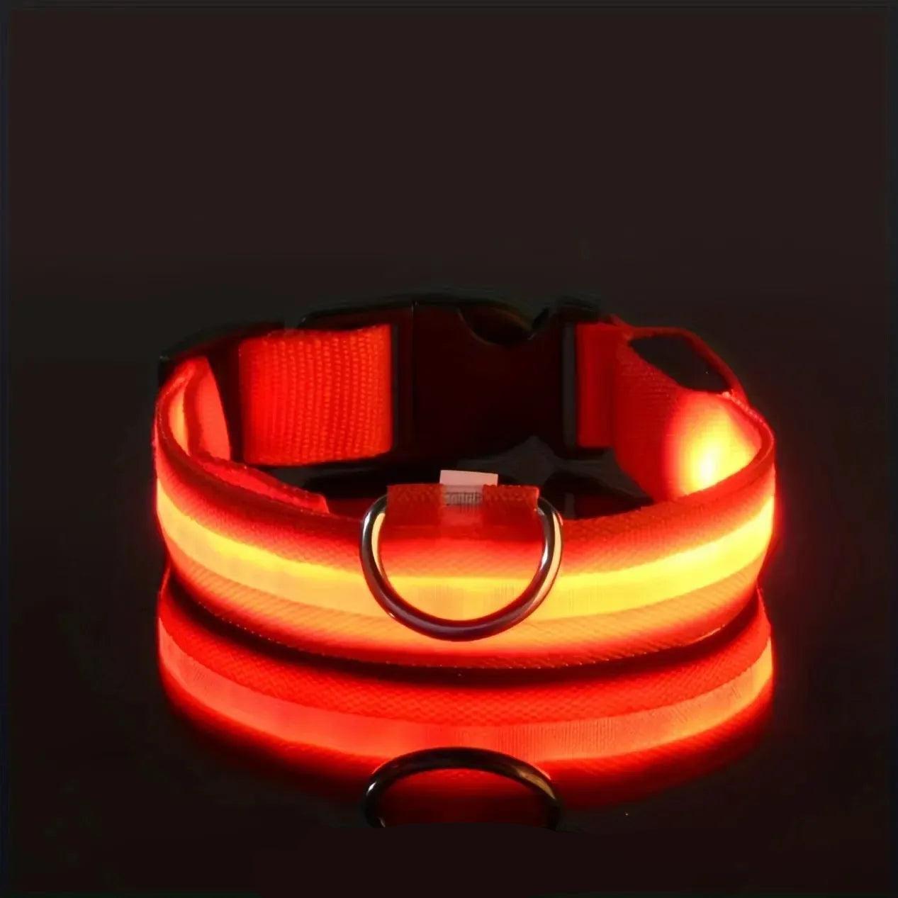 Reflective LED Dog Collar – Waterproof, Adjustable & Bright