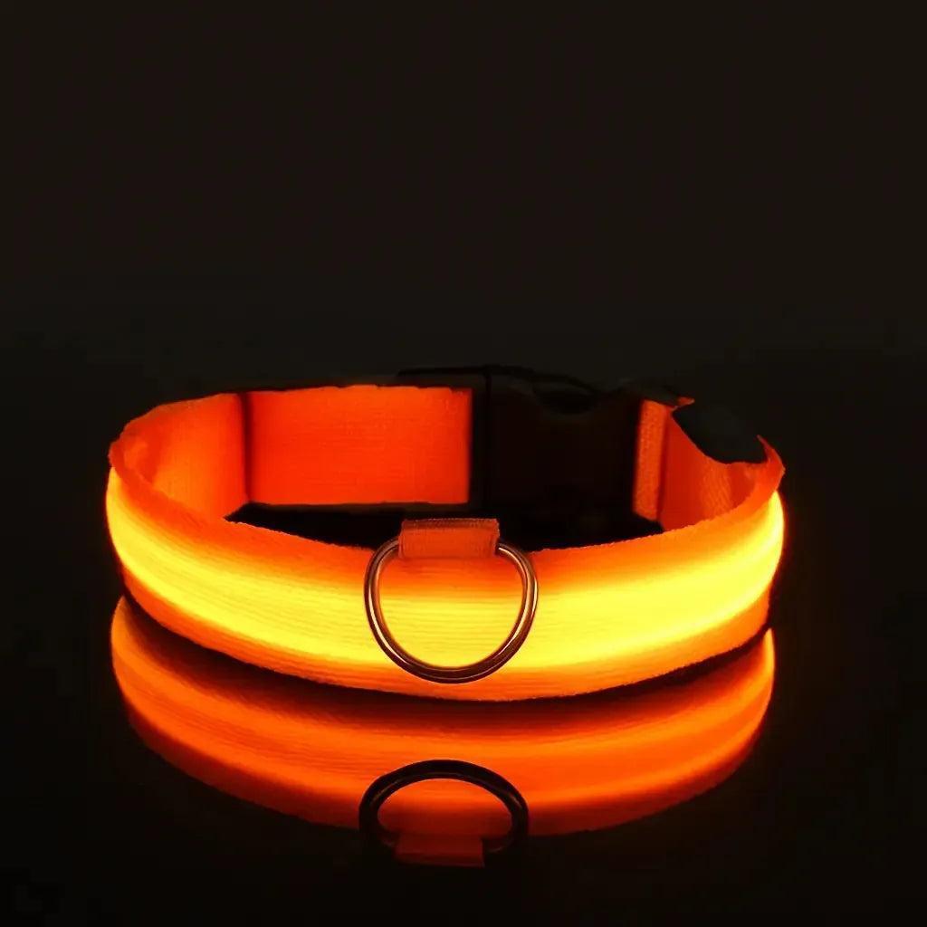 Reflective LED Dog Collar – Waterproof, Adjustable & Bright