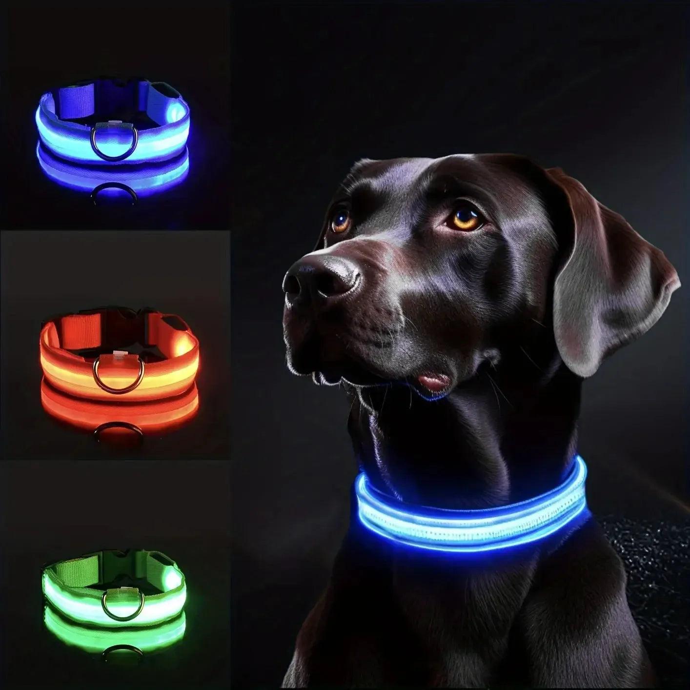 Reflective LED Dog Collar – Waterproof, Adjustable & Bright