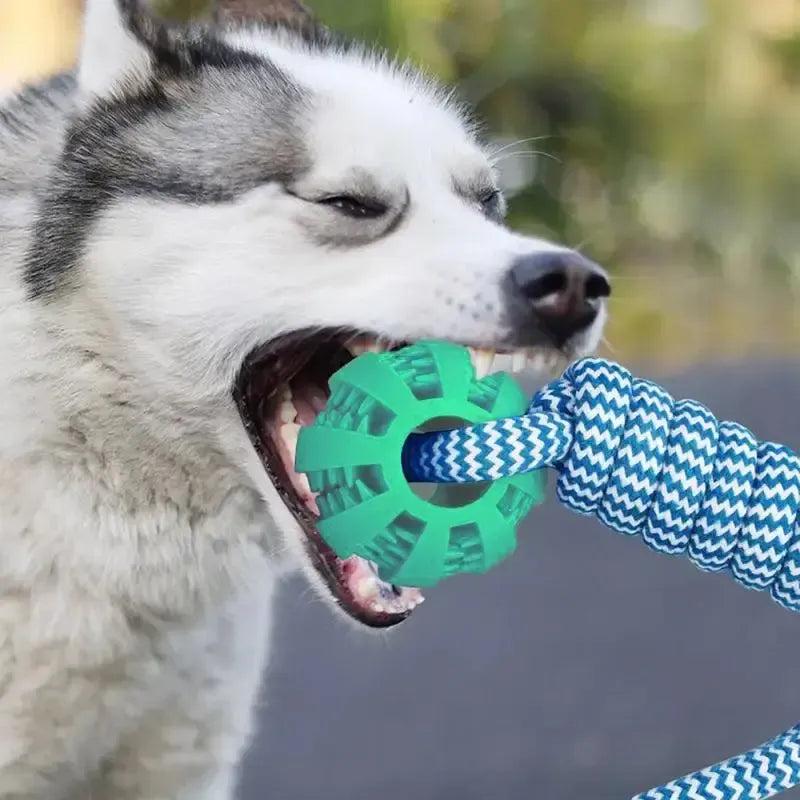 Rope Ball Chew Toy with Treat Dispenser for Medium & Large Dogs