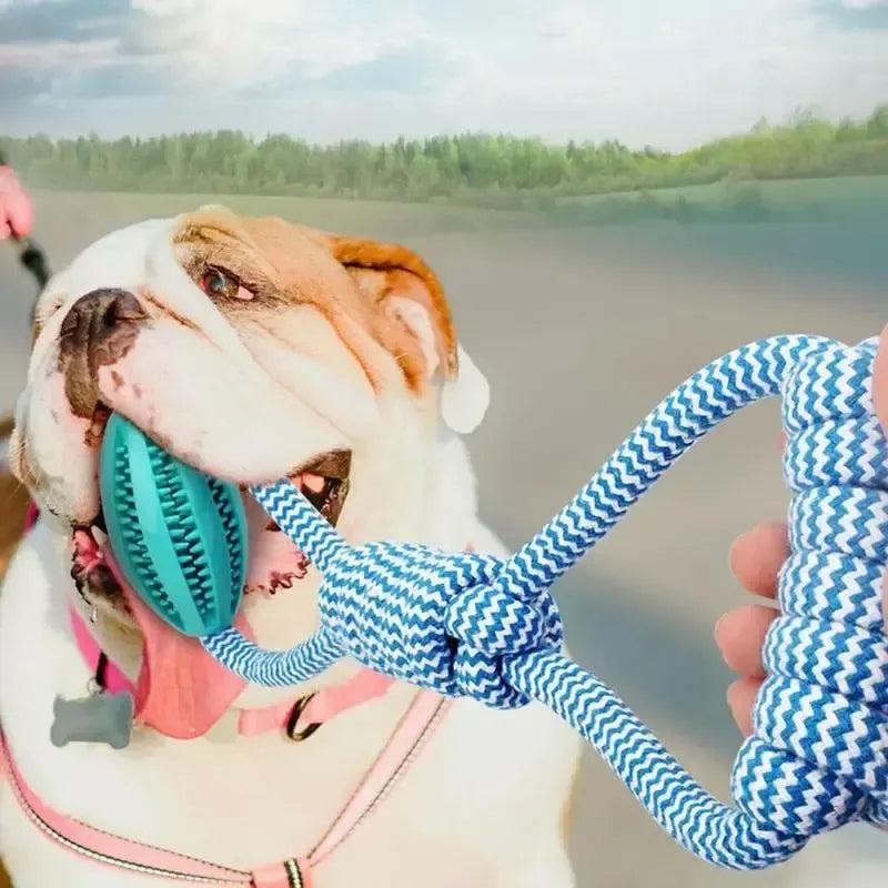 Rope Ball Chew Toy with Treat Dispenser for Medium & Large Dogs