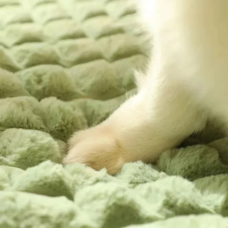 Orthopedic Winter Dog Bed With Memory Foam And Washable Cover