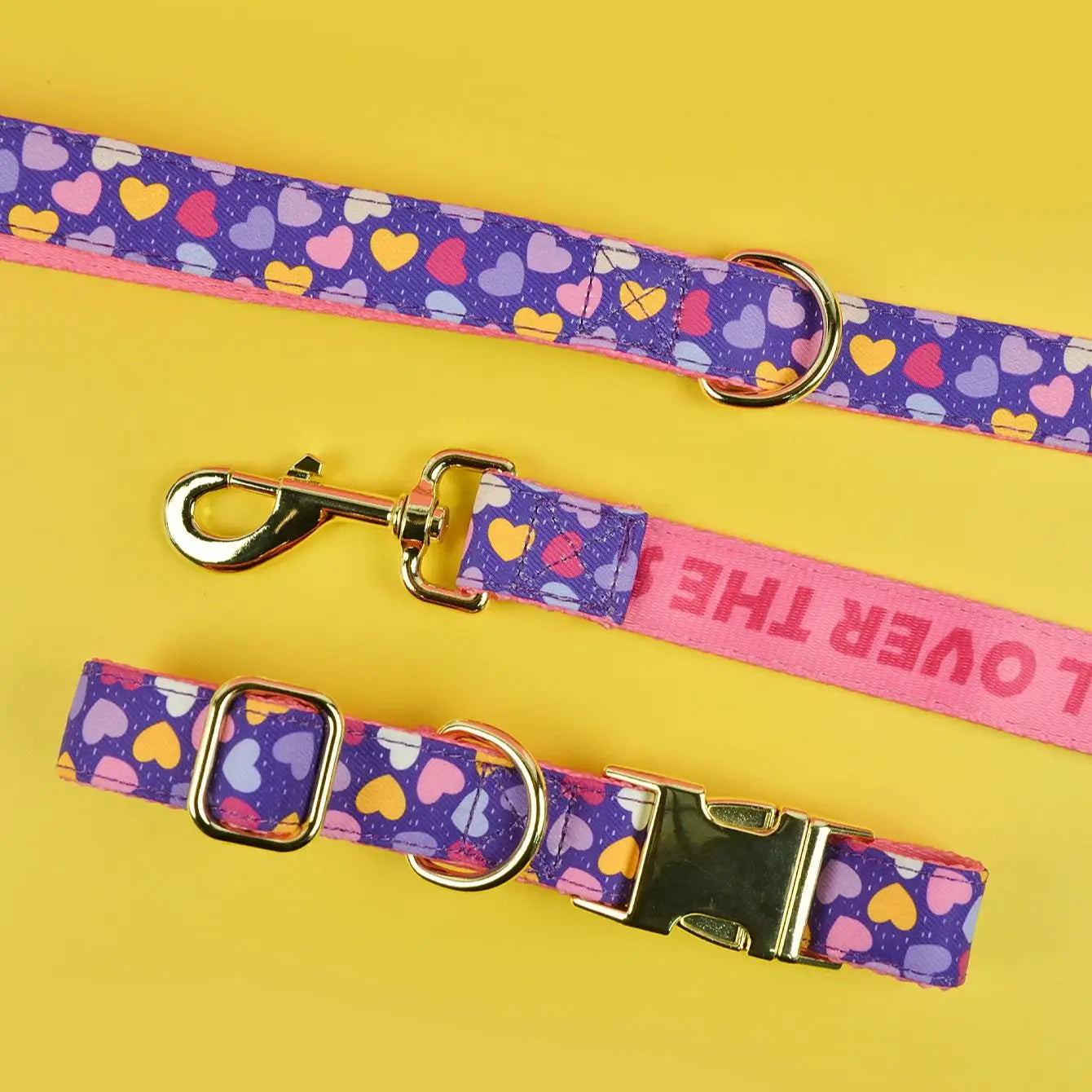 Luxury Adjustable Dog Collar & Leash Set