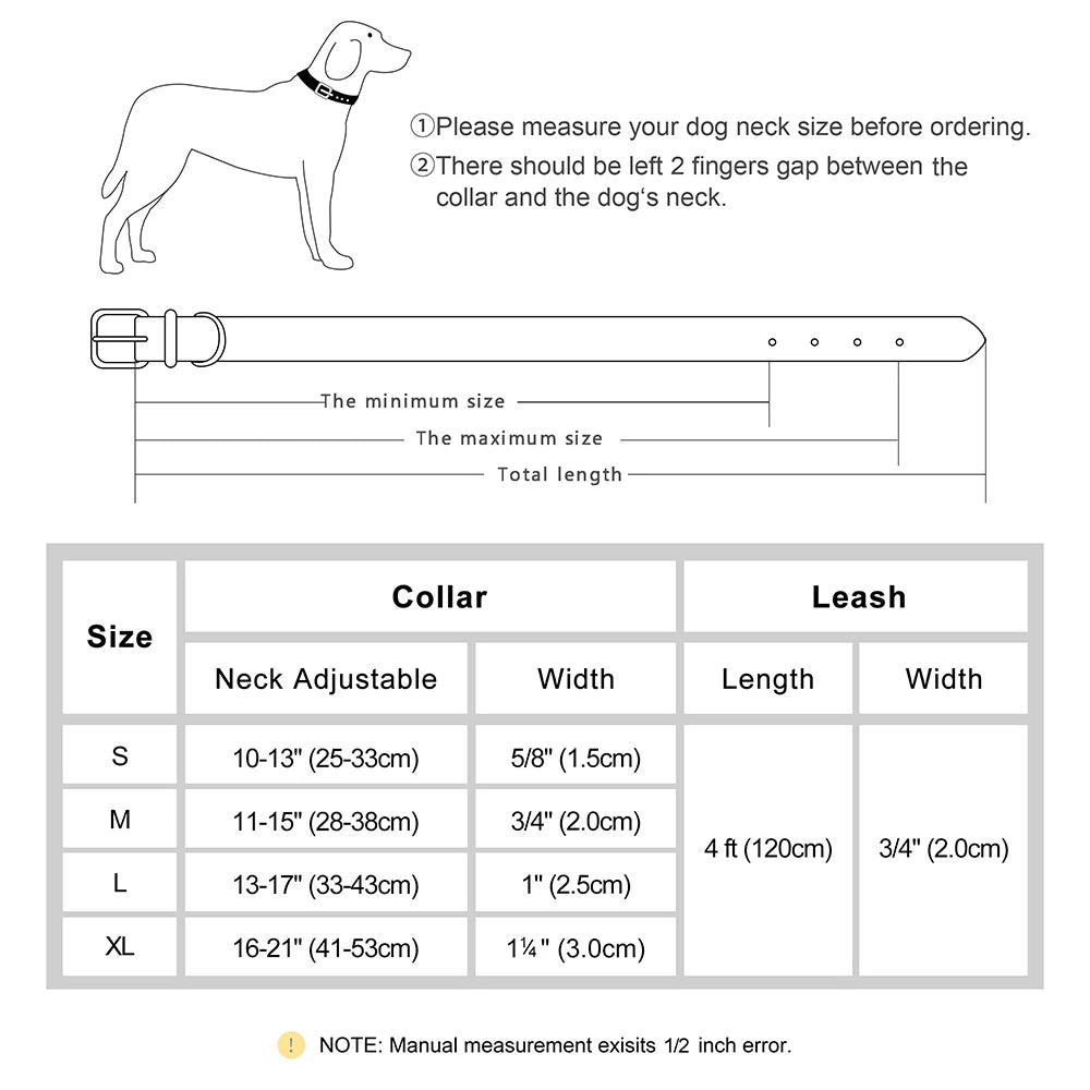 Padded Leather Dog Collar & Leash Stylish Set