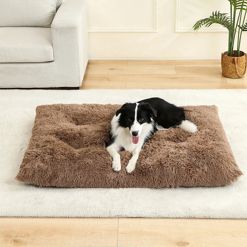 Washable Dog Mat Soft Cushion Design