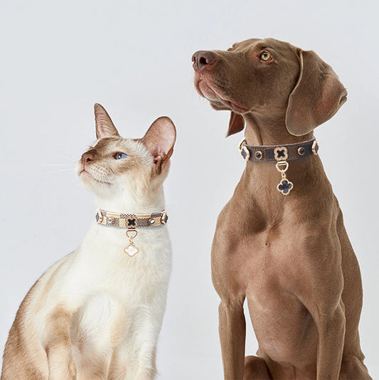 Designer Plaid Dog Collar with Rhinestones