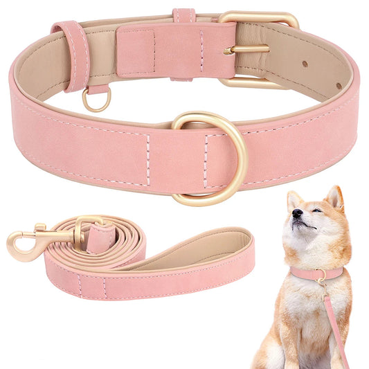 Padded Leather Dog Collar & Leash Stylish Set