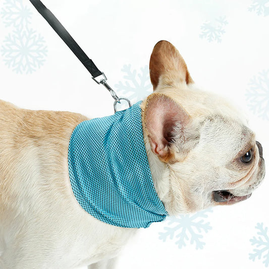 Dog Cooling Bandana with Leash Hole