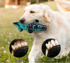 Separation anxiety dog toys