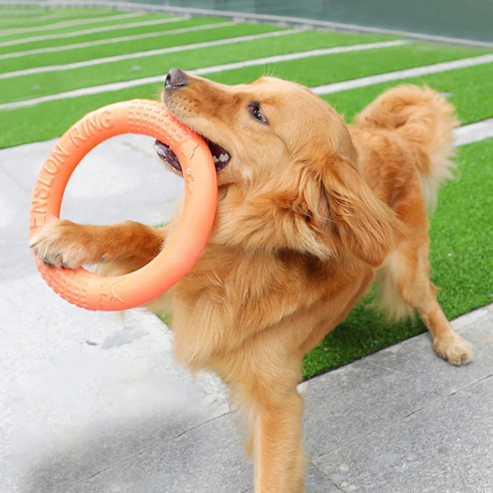 EVA Dog Flying Ring Toy
