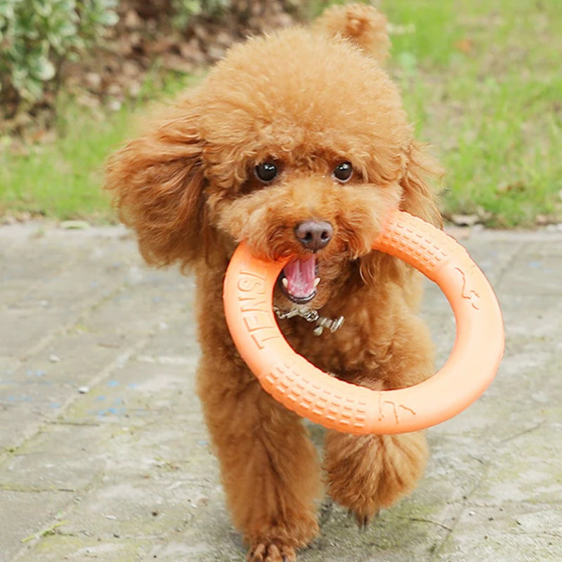 EVA Dog Flying Ring Toy