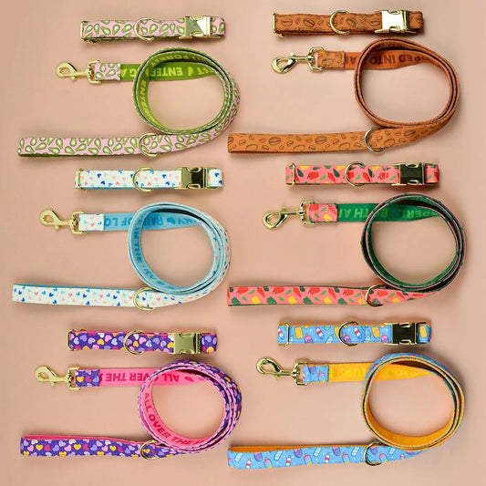 Luxury Summer Colorful Adjustable Dog Collar And Leash Set