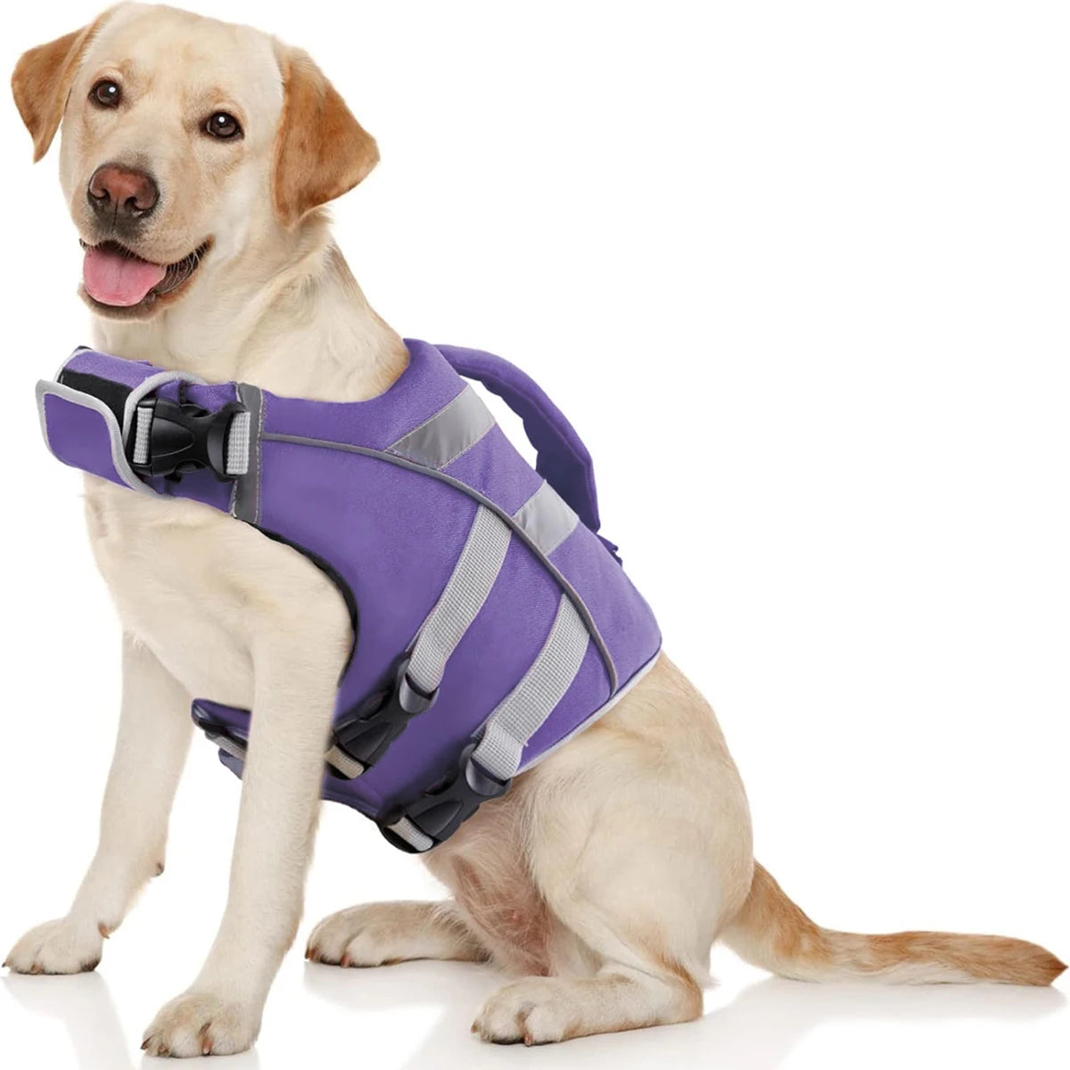 Premium Dog Life Jacket