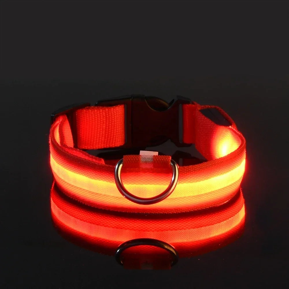 Reflective LED Dog Collar – Waterproof, Adjustable & Bright