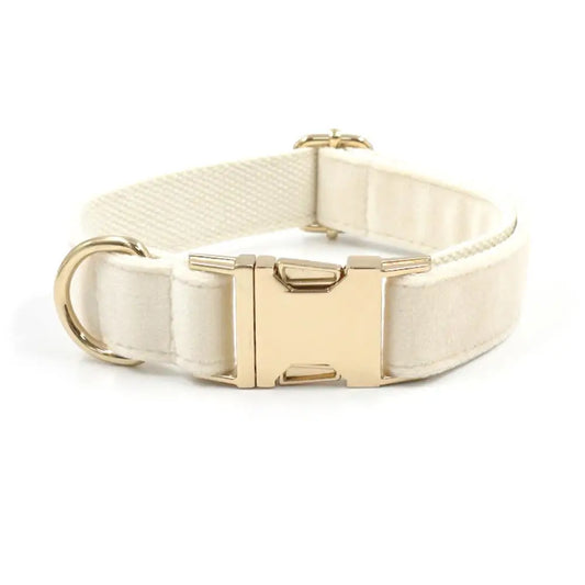 XL Cream Velvet Dog Collar | Soft Padded & Gold Buckle