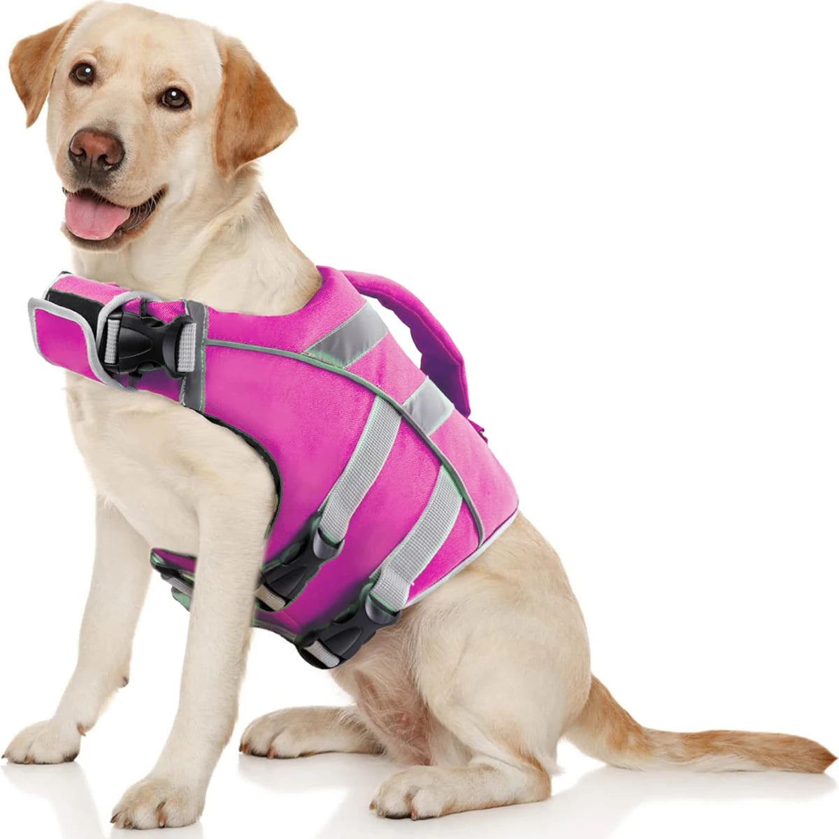 Premium Dog Life Jacket