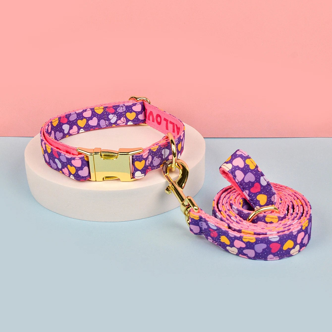 Luxury Adjustable Dog Collar & Leash Set