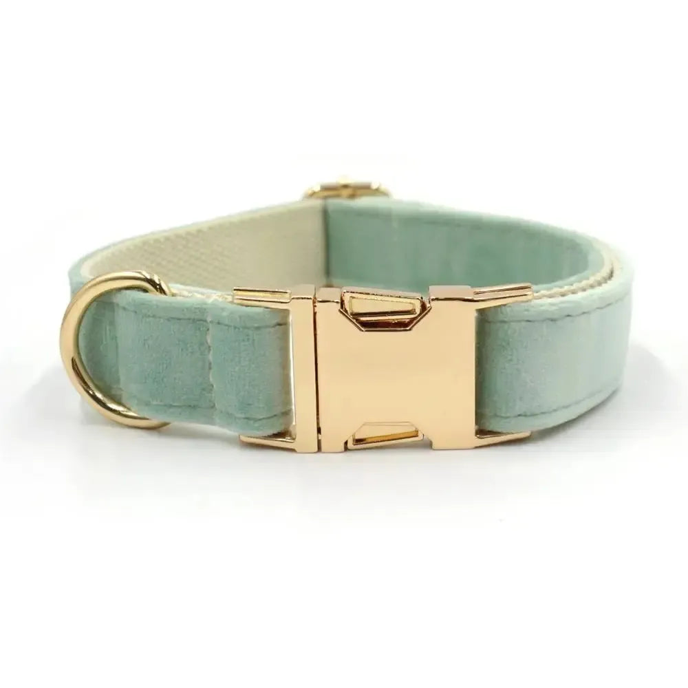 Sage Velvet Dog Collar