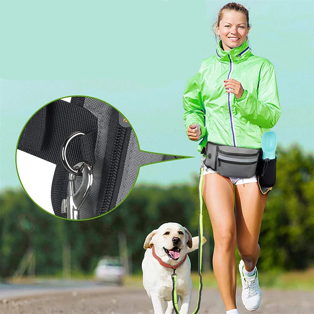 Training Multi-functional Dog Snack Bag