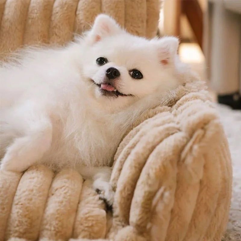 Orthopedic Dog Sofa Bed | Washable Plush & Non-Slip