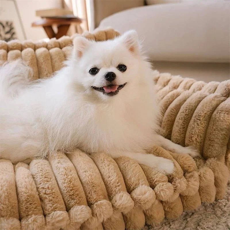 Orthopedic Dog Sofa Bed | Washable Plush & Non-Slip