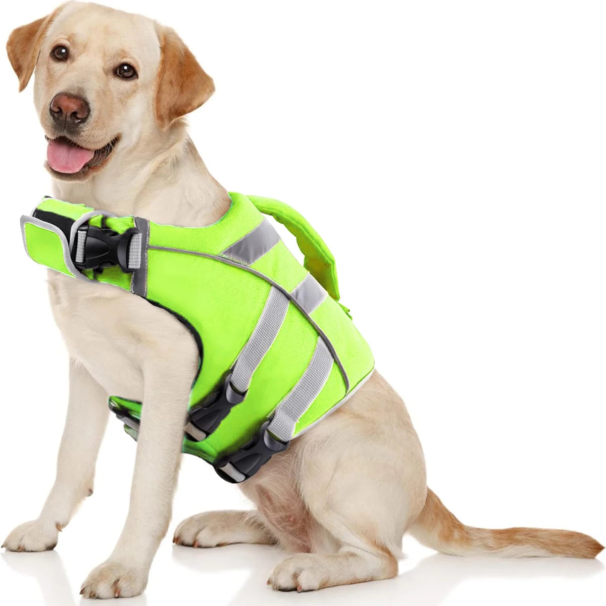 Premium Dog Life Jacket