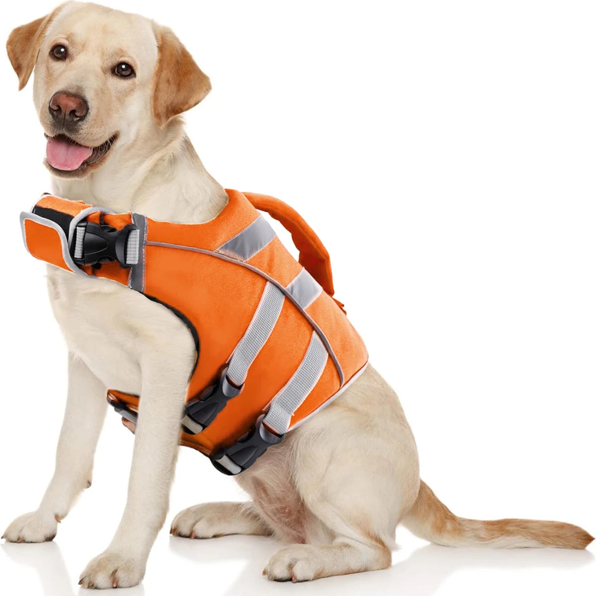 Premium Dog Life Jacket