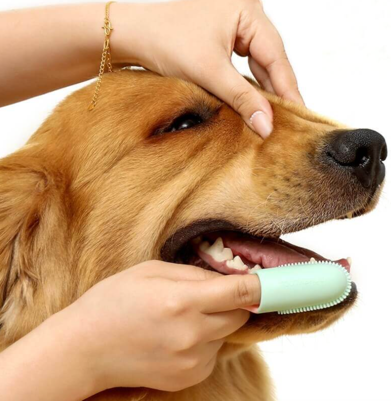 Silicone Finger Dog Toothbrush