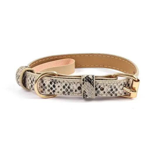 Snake Printed Dog Collar