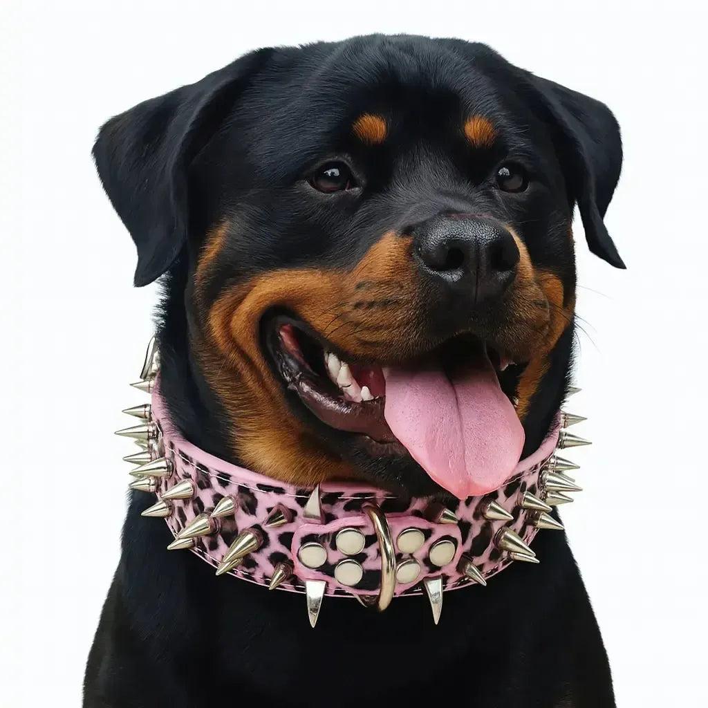 Spiked Leather Dog Collar with Handle