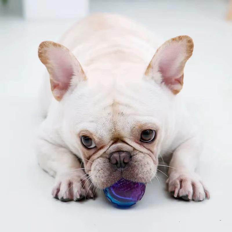 Squeaky Bouncy Dog Ball