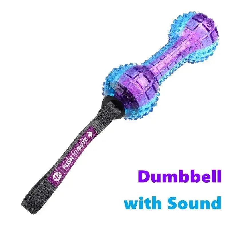 Squeaky Bouncy Dog Ball – G-Ball Series