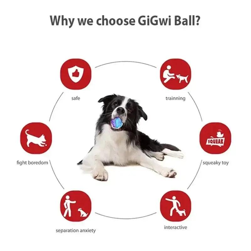 Squeaky Bouncy Dog Ball – G-Ball Series
