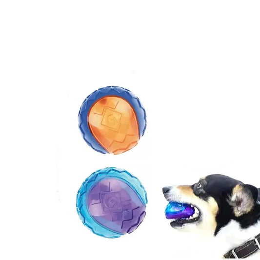 Squeaky Bouncy Dog Ball