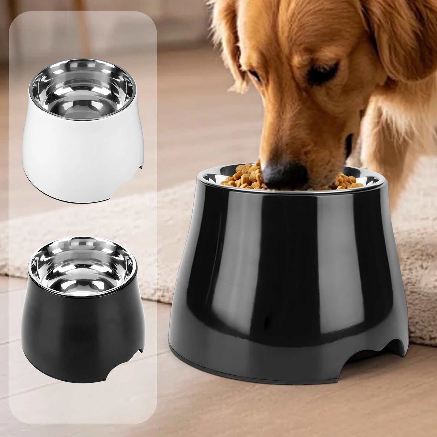 Stainless Steel Dog Food & Water Bowl